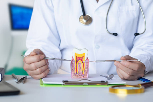 Best Emergency Root Canal Treatment in Braidwood, IL